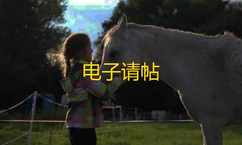 虚拟产品货源渠道电子请帖