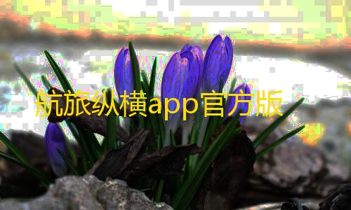 暗区突围直装科技安卓最新版App下载航旅纵横app官方版